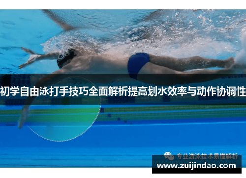 初学自由泳打手技巧全面解析提高划水效率与动作协调性