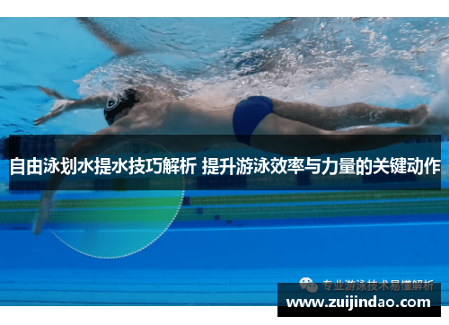 自由泳划水提水技巧解析 提升游泳效率与力量的关键动作