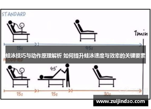 蛙泳技巧与动作原理解析 如何提升蛙泳速度与效率的关键要素