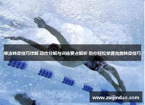 蝶泳转身技巧详解 动作分解与训练要点解析 助你轻松掌握完美转身技巧